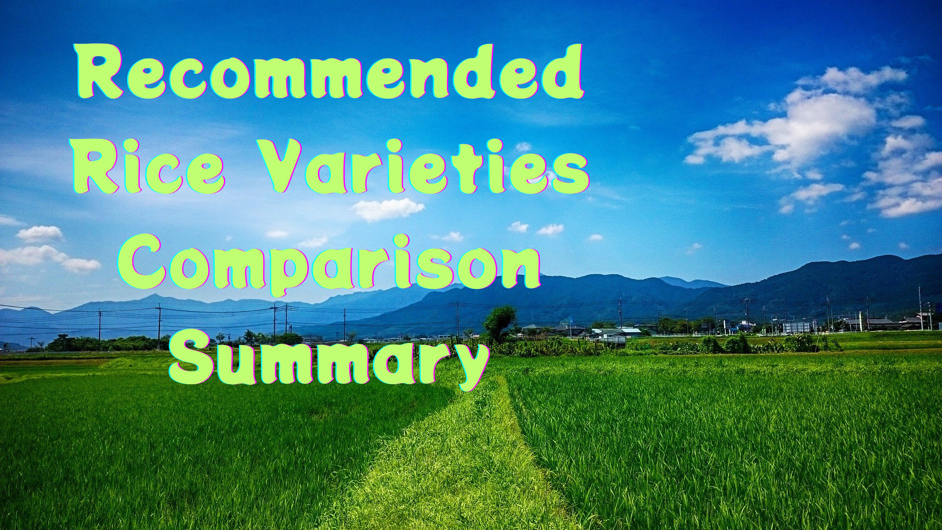 Recommended Rice Varieties Comparison Summary